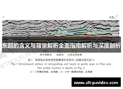 东超的含义与背景解析全面指南解析与深度剖析